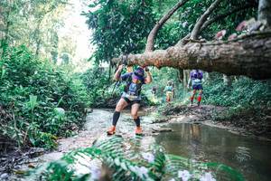 BIB: 
                            <button type="button" onclick="openModal(25440980)" class="btn btn-primary btn-sm float-right btn-popup" data-toggle="modal" data-target=".modal-high-quality">
                        <i class="fas fa-shopping-cart"></i> Add to Cart
                    </button>
                                            <button type="button" onclick="isThisMe(25440980, true)" class="btn btn-success btn-sm float-right btn-popup btn-isme hidden" data-toggle="tooltip" data-placement="bottom" title="นี่คือรูปของคุณใช่ไหม คลิกที่นี่เพื่อเอาเข้าอัลบั้ม">
                        <i class="fas fa-plus"></i> Add to album
                    </button>
                    <button type="button" onclick="isThisMe(25440980, false)" class="btn btn-warning btn-sm float-right btn-popup btn-isnotme hidden">
                        <i class="fas fa-ban"></i> Remove from album
                    </button>